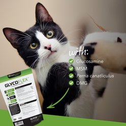 VetriScience GlycoFlex 2 Chicken Liver Flavored Soft Chews Joint Supplement for Cats, 60 count slide 2 of 5