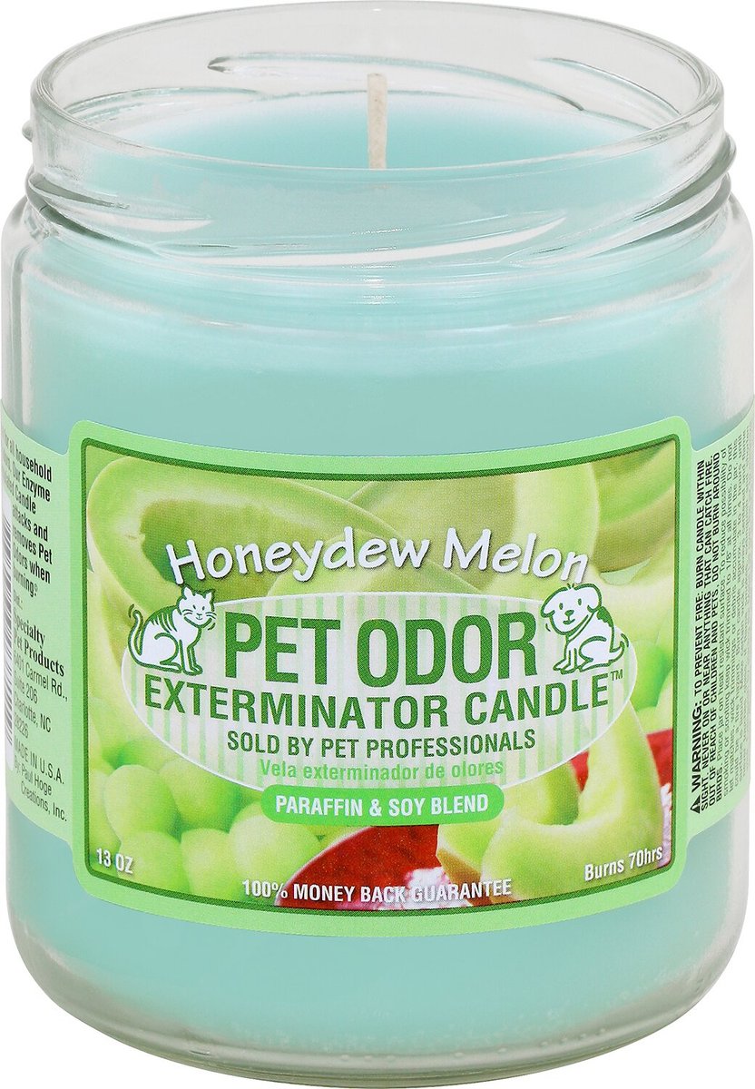 Chewy pet outlet odor candle