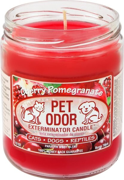 Chewy pet outlet odor candle