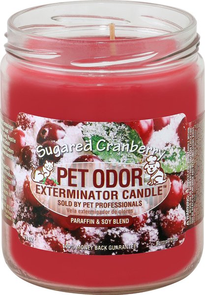 Chewy pet odor on sale candle