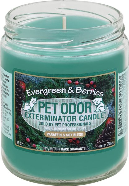 Chewy pet odor on sale candle