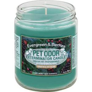 Pet Odor Exterminator Evergreen & Berries Deodorizing Candle, 13-oz jar