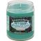 Show in main carousel: Pet Odor Exterminator Evergreen & Berries Deodorizing Candle, 13-oz jar slide 1 of 1
