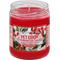 Show in main carousel: Pet Odor Exterminator Hollyberry Hills Deodorizing Candle, 13-oz jar slide 1 of 1