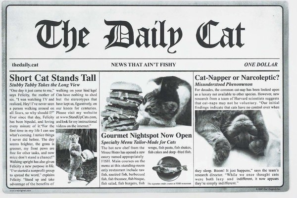 ORE Pet The Daily Cat Placemat slide 1 of 4