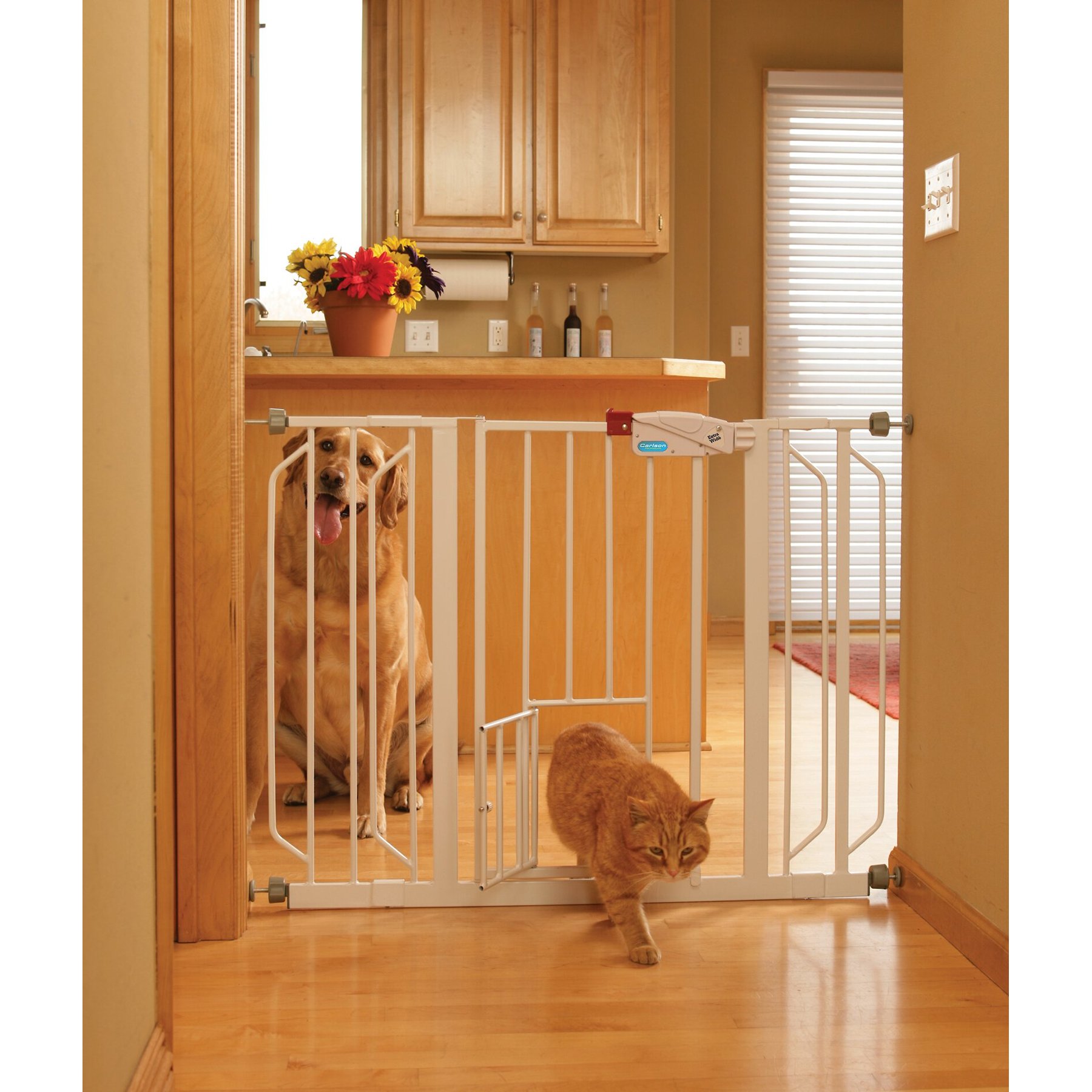 Carlson extra wide walk through pet gate with small pet door hotsell