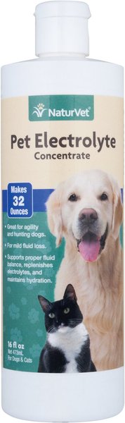 NaturVet Electrolytes Concentrate Liquid Nutritional Supplement for Cats & Dogs, 16-oz bottle slide 1 of 3