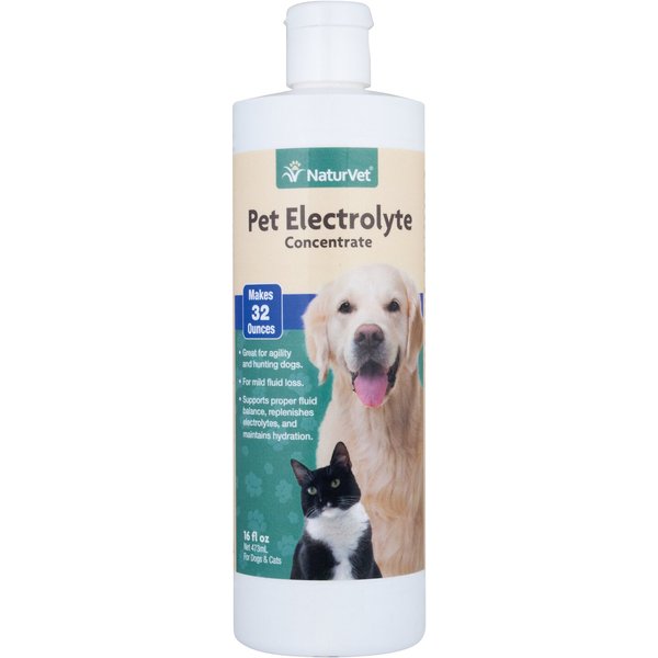 NATURVET Electrolytes Concentrate Liquid Nutritional Supplement for