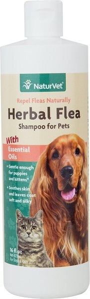 NaturVet Herbal Flea Dog & Cat Shampoo, 16-oz bottle slide 1 of 4