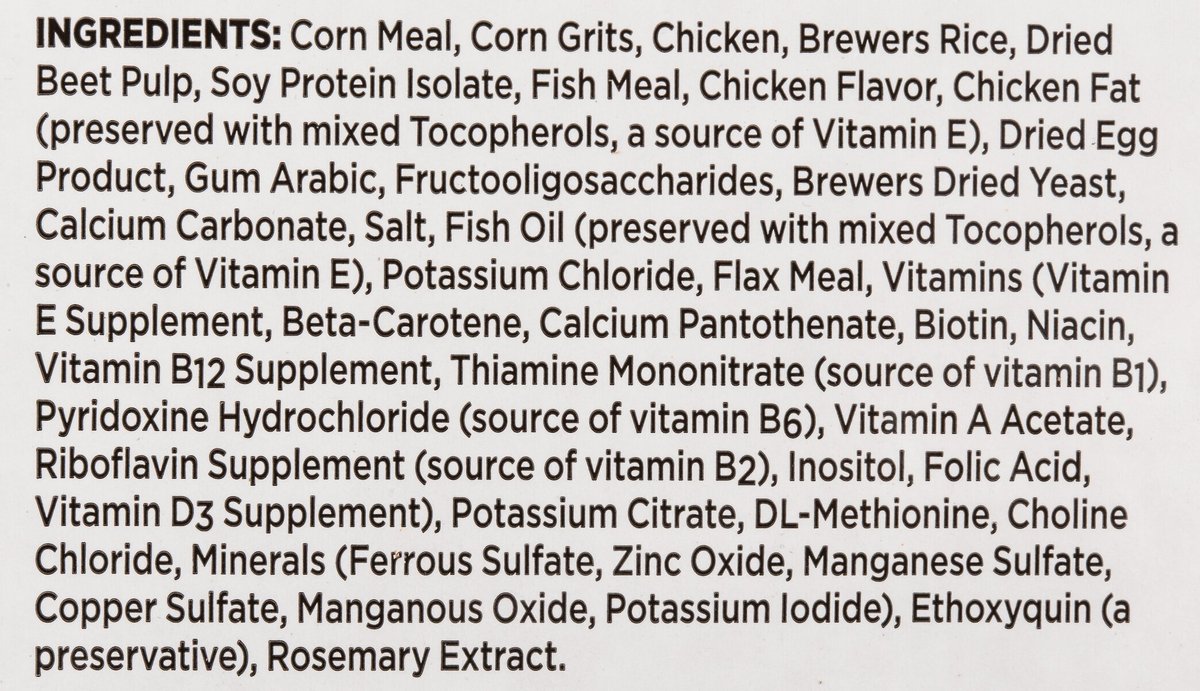 Iams veterinary hotsell formula renal plus