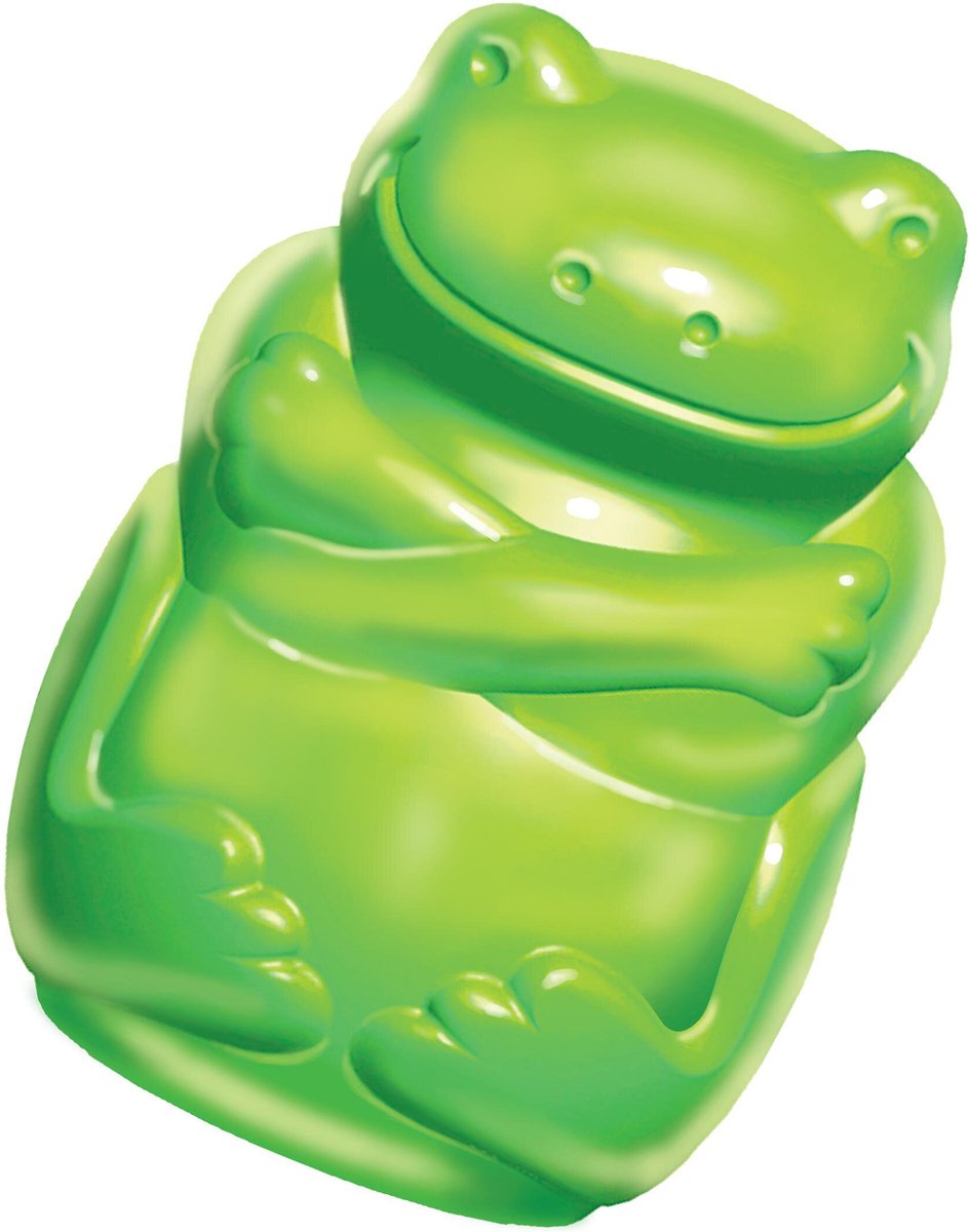 Kong frog dog best sale toy