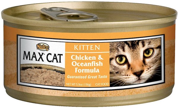 Nutro max 2025 cat kitten food