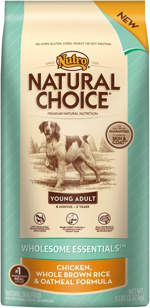 Chewy dog food outlet nutro