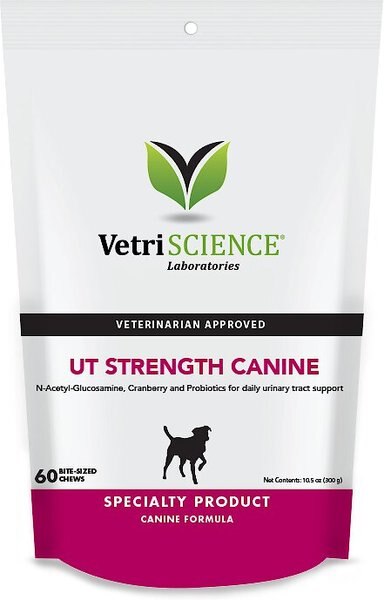 VetriScience Canine Plus Senior Everyday Health Bite-Sized Dog Chews