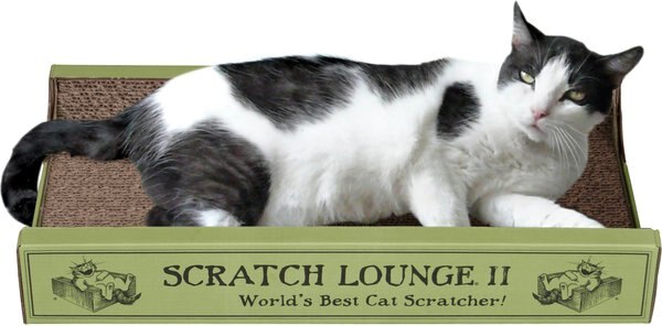 Original scratch lounge best sale