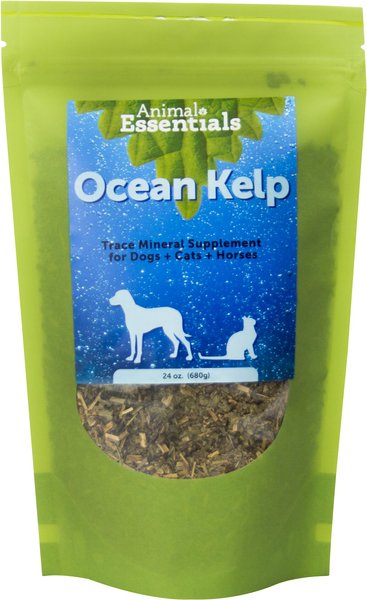 Animal Essentials Ocean Kelp Dog & Cat Supplement, 24-oz bag slide 1 of 1