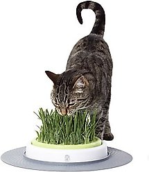 Catit Design Senses Grass Garden Kit