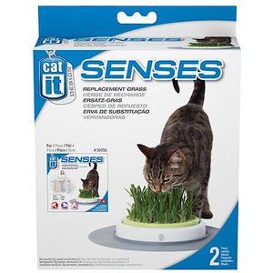 Catit Design Senses Grass Refill, 2 count