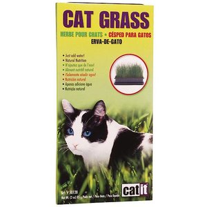 Catit Cat Grass