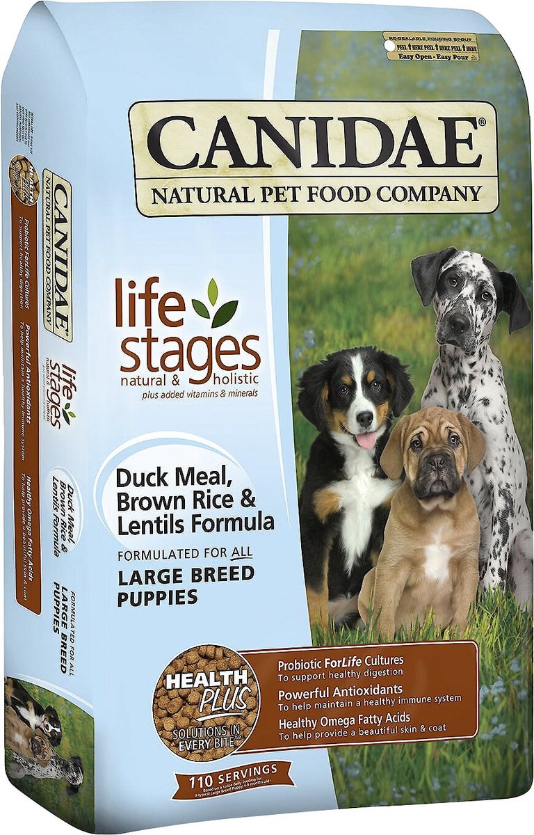 Canidae life stages outlet large breed puppy