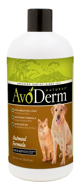 avoderm oatmeal formula shampoo