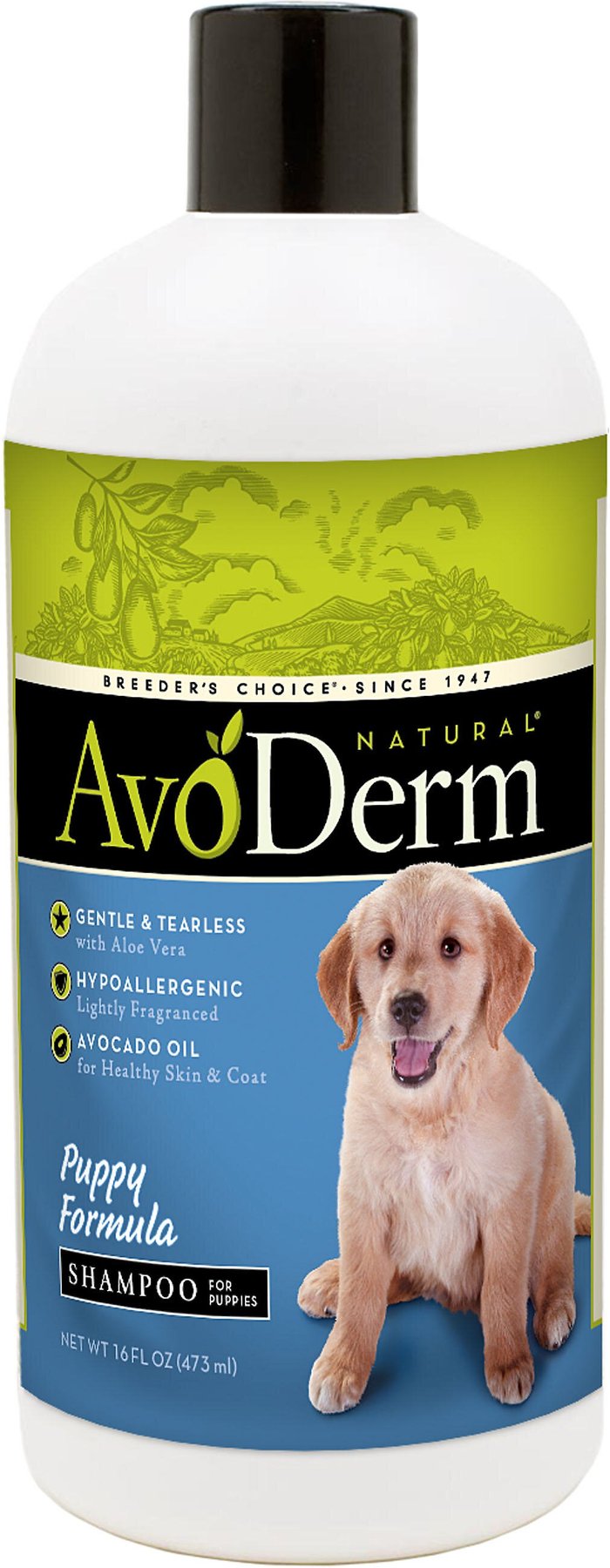 Avoderm shampoo shop