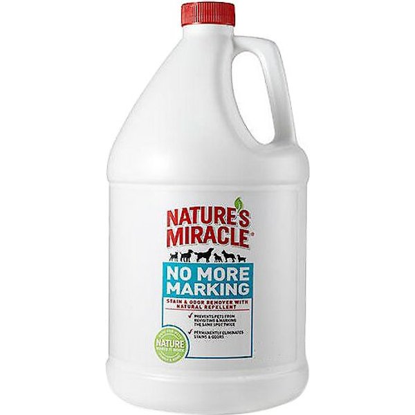 SEE SPOT RUN Dog Urine Grass Saver, 64-oz bottle - Chewy.com