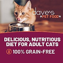 Dave's Pet Food Naturally Healthy Grain-Free Grilled Tuna & Shrimp Dinner in Gravy Wet Canned Cat Food, 5.5-oz can, case of 24 slide 2 of 9
