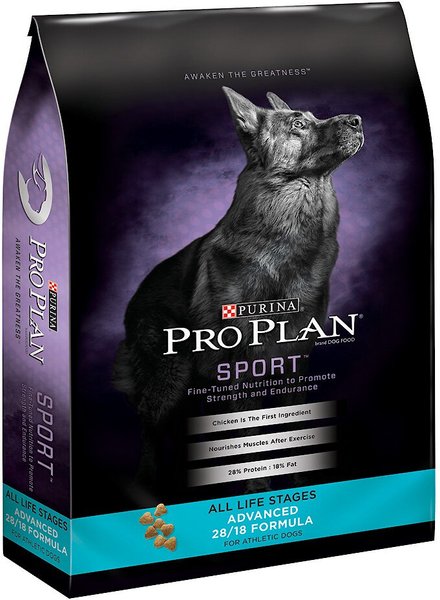 Chewy sport clearance dog food