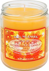 Pet Odor Exterminator Fall 'N Leaves Deodorizing Candle, 13-oz jar