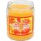 Show in main carousel: Pet Odor Exterminator Fall 'N Leaves Deodorizing Candle, 13-oz jar slide 1 of 1