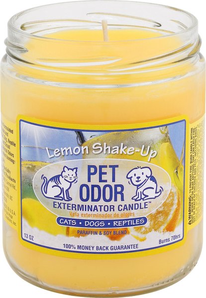 Chewy pet odor clearance candle