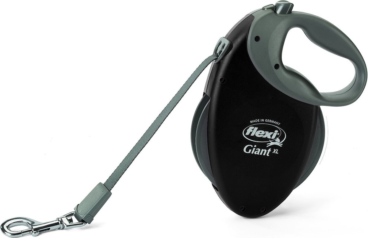 Giant retractable 2024 dog leash