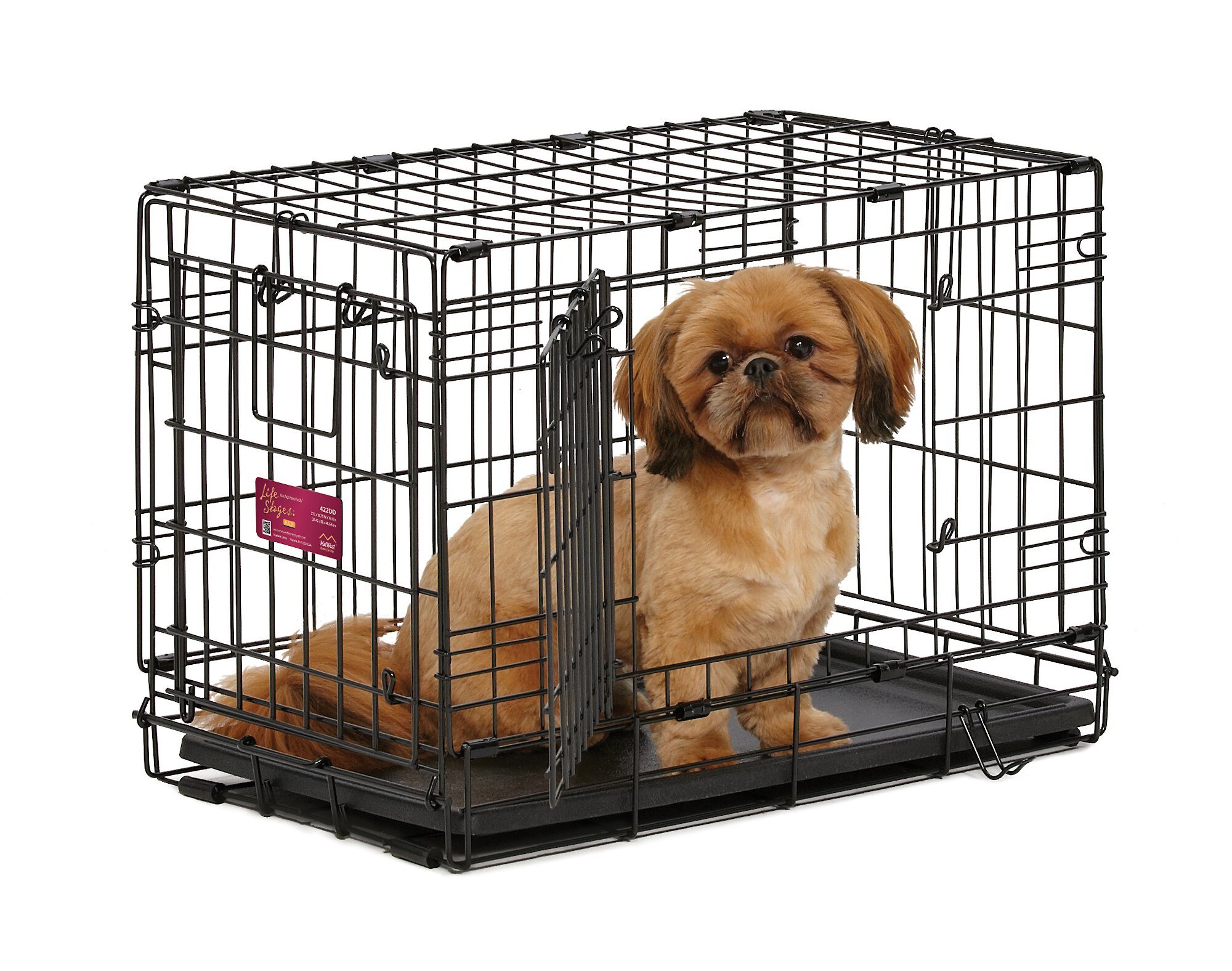 Ace best sale dog crate