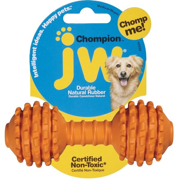 JW PET iSqueak Bone Dog Toy, Color Varies, Large