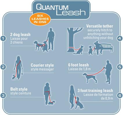 Show full view: Kurgo Quantum Nylon Reflective Hands-Free Running Dog Leash, Red/Blue, 6-ft long, 1-in wide slide 3 of 12