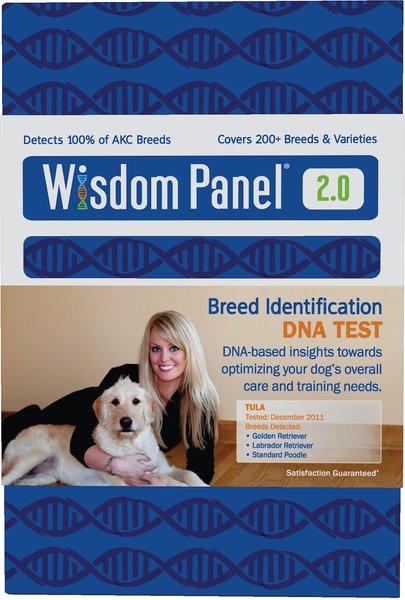 Akc dna test store kit for dogs