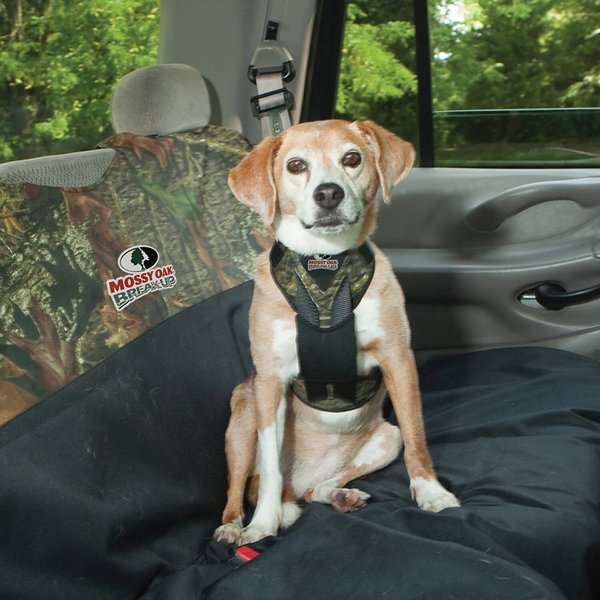 Bergan dog auto outlet harness