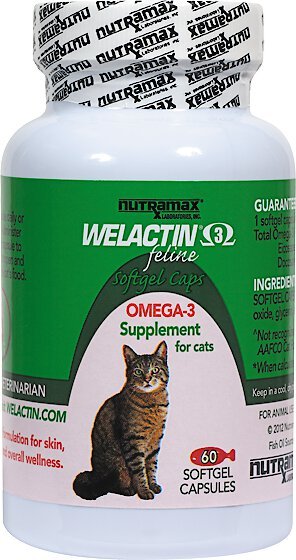 Discontinued NUTRAMAX Welactin Feline Omega 3 Softgel Capsules Cat Supplement 60 softgels Chewy