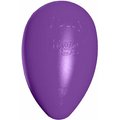 Jolly Pets Jolly Egg Dog Toy, Purple, 12-in