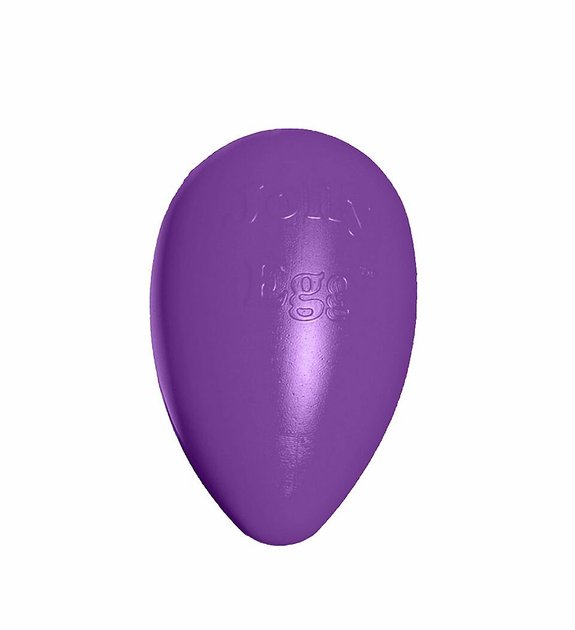JOLLY PETS Jolly Egg Dog Toy, Purple, 12in