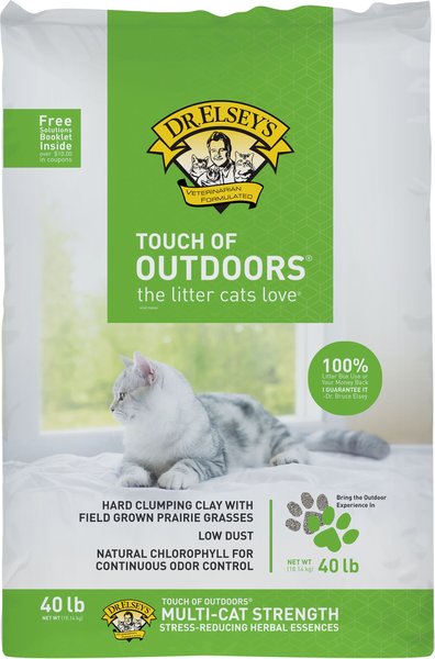 Dr. Elsey's Precious Cat Touch of Outdoors Unscented Clumping Clay & Natural Prairie Grasses Cat Litter, 40-lb bag slide 1 of 8