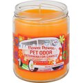Pet Odor Exterminator Flower Power Deodorizing Candle, 13-oz jar