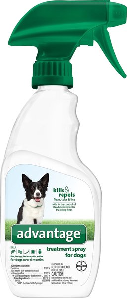 New Version Available - ADVANTAGE Flea & Tick Treatment Spray for Dogs ...