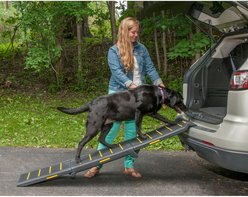 Pet Gear Travel Lite Reflective Pet Ramp, Tri-fold