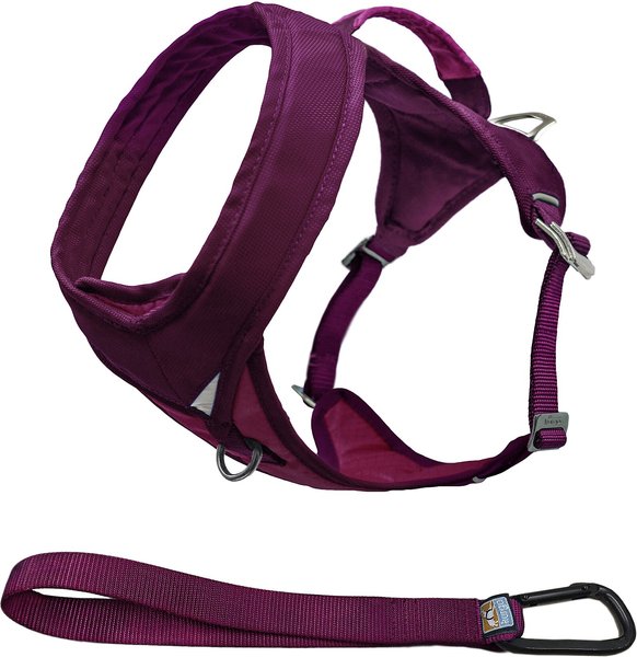 Go tech clearance adventure harness