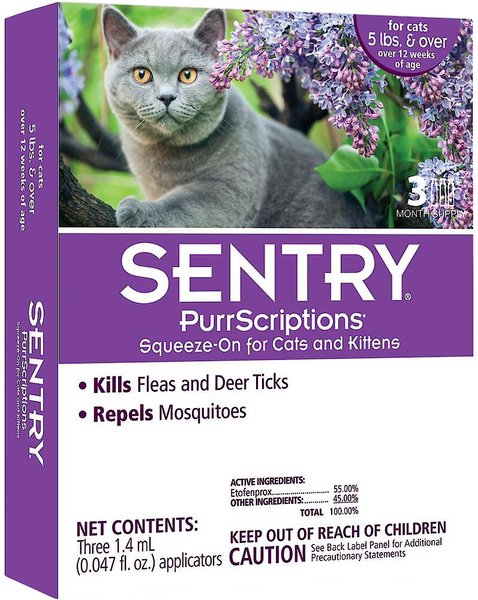 Sentry cat best sale flea treatment