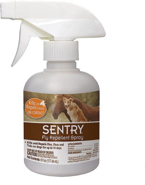 good fly repellent for dogs