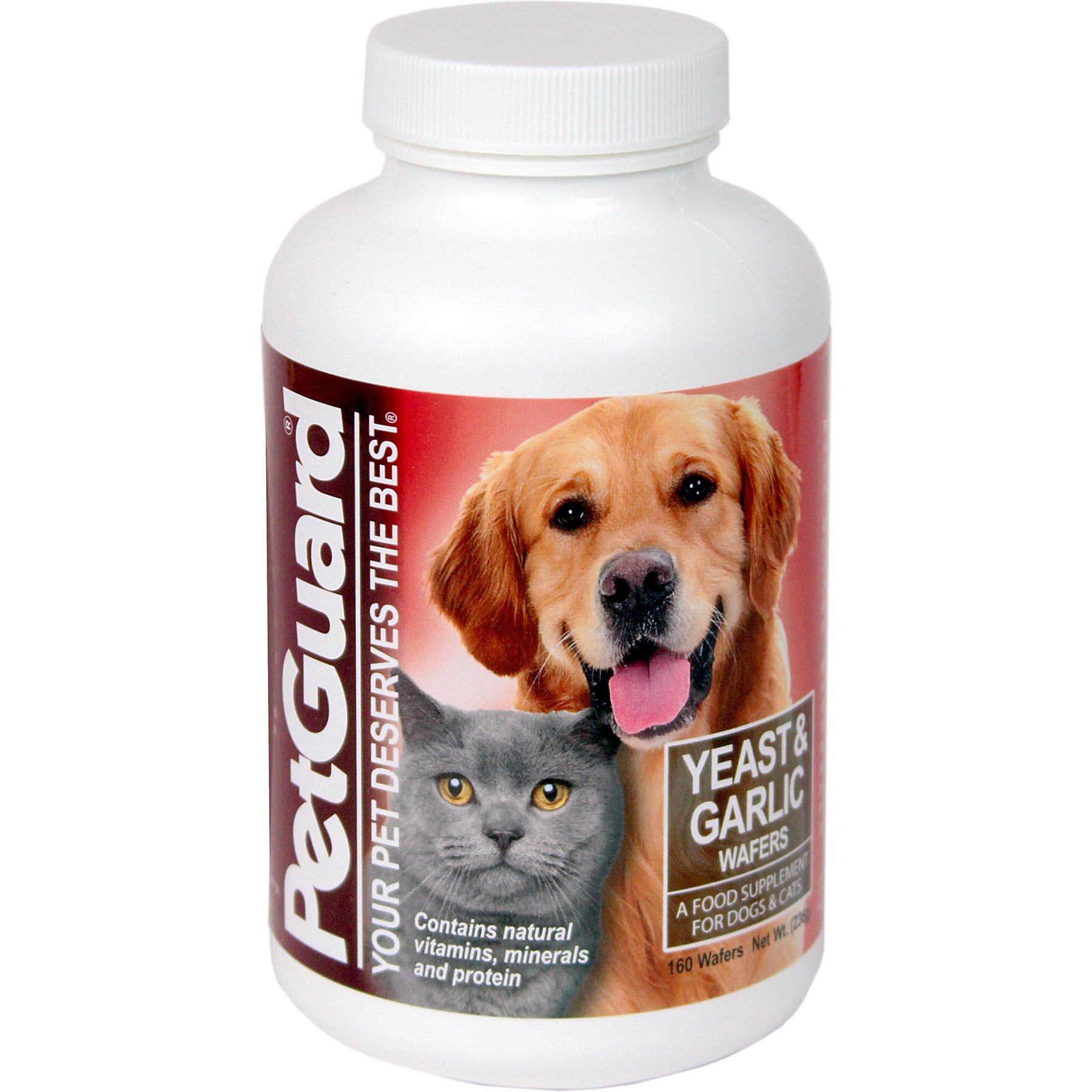 Garlic supplement for outlet dogs