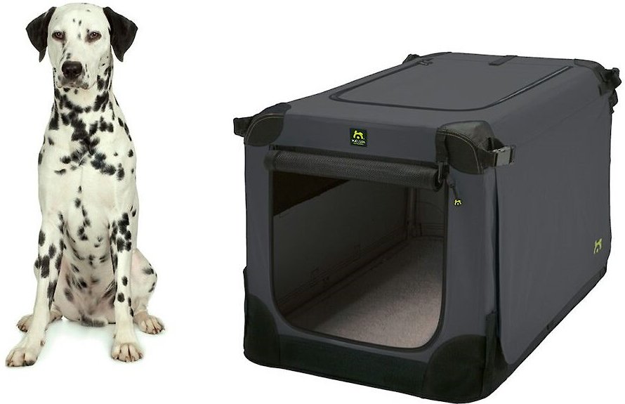 dreigen diameter rechtbank MAELSON Soft Dog Kennel, Black/Anthracite, Small - Chewy.com